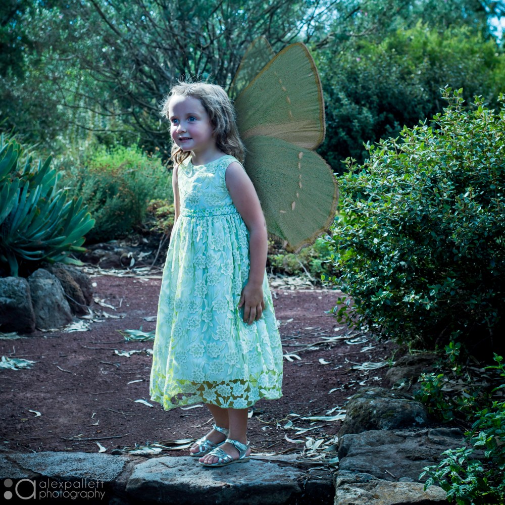 alexpallett-children-photography