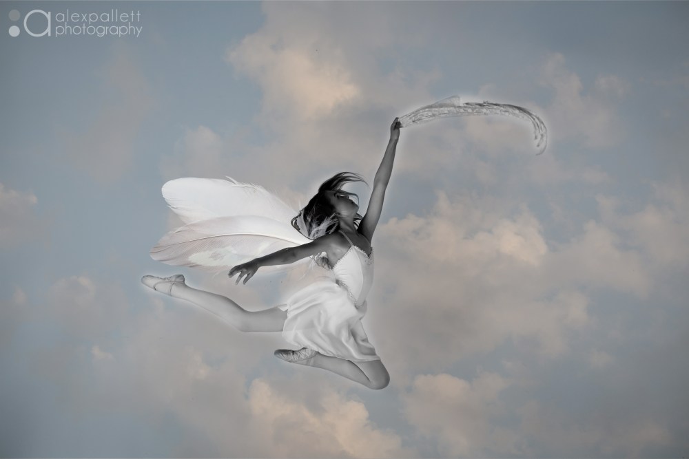 Fly High By Photographer Alex Pallett